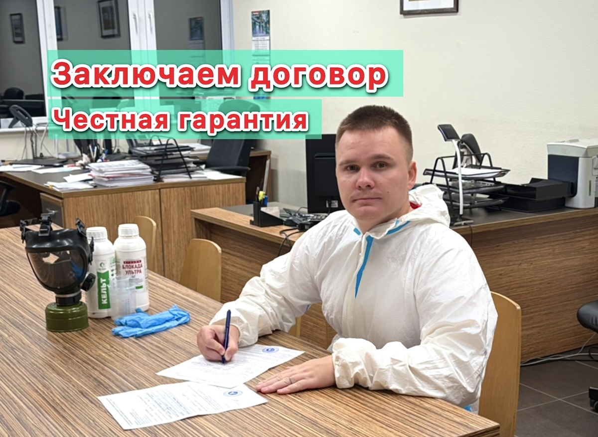 Галерея